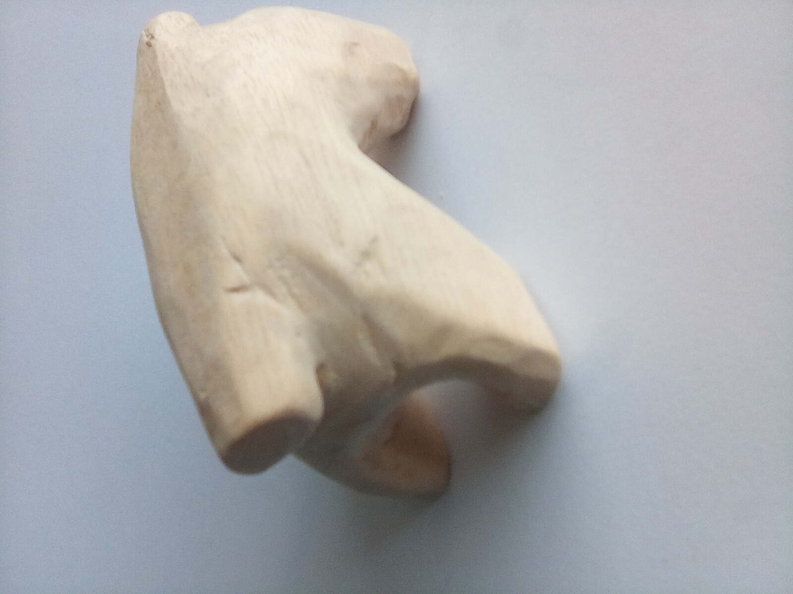 ABSTRACT WARTHOG - balsa wood