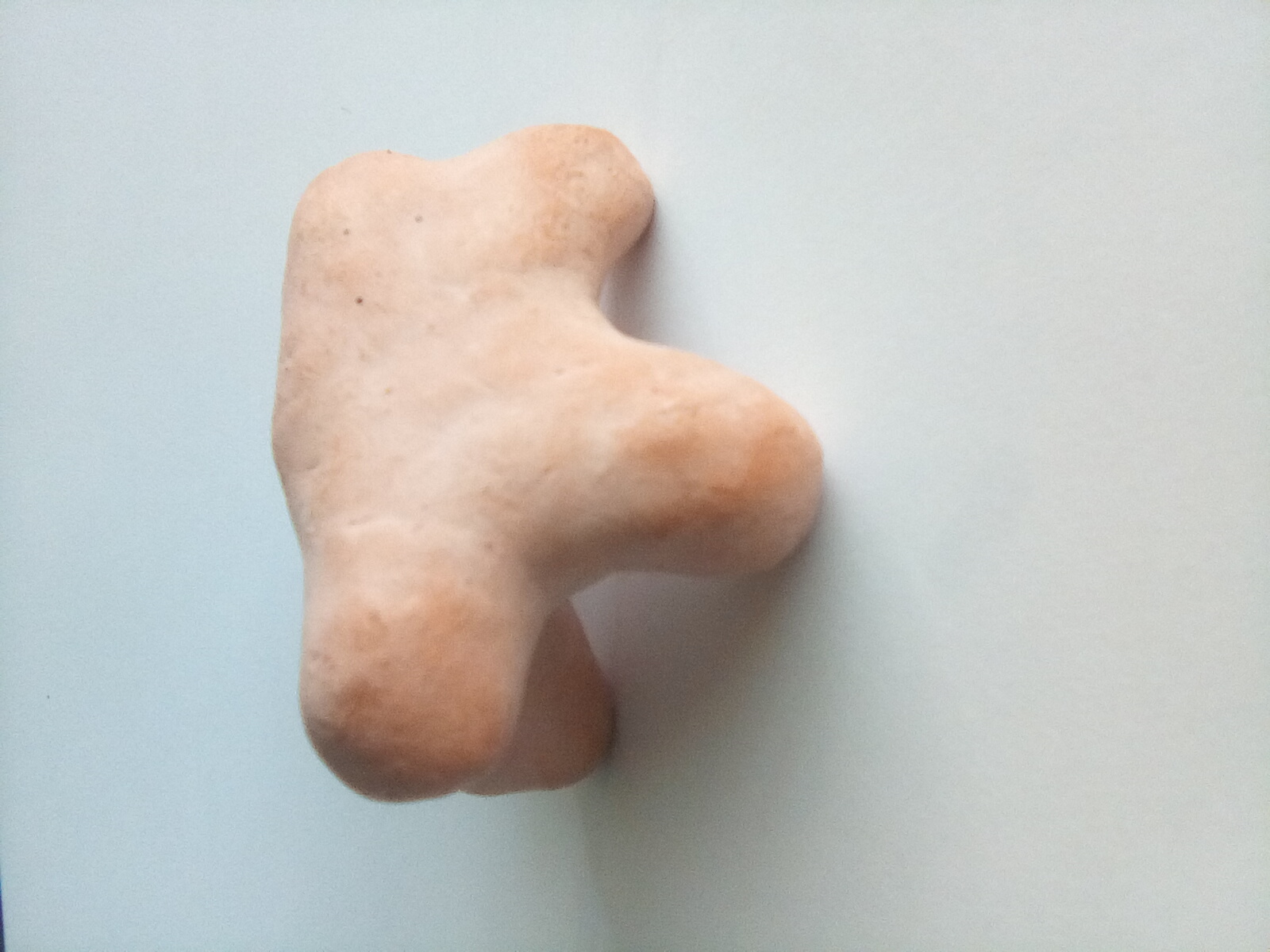 ABSTRACT WARTHOG - das clay